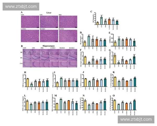 运动损伤评估与康复策略的综合研究与实践应用探讨