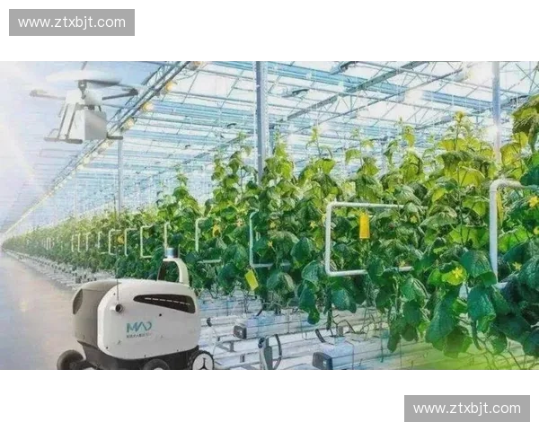 稳定输出为核心的生产优化策略与实践路径探索